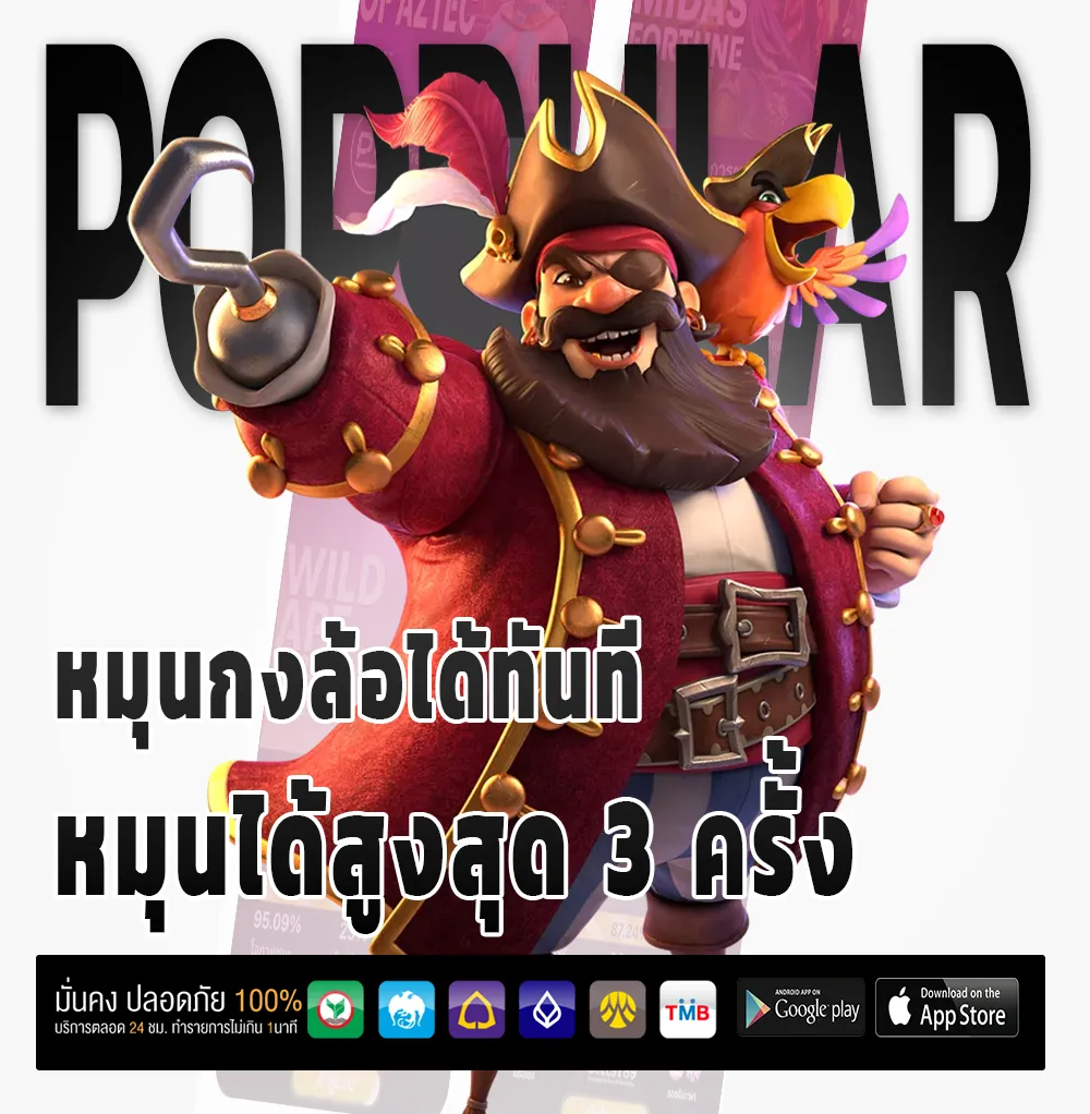 dara 168 กำไรจริง